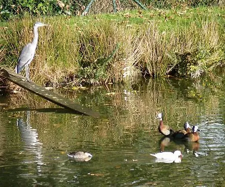 La Du Pecheur, Balneo Et Terrasse Privative. Entre Terre Et Gæstehus Tréméoc